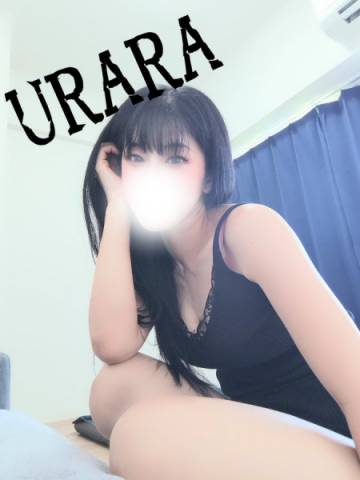  画像No.